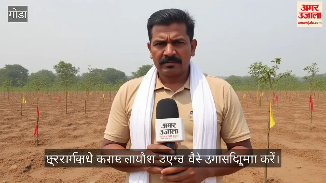 आशिस पटेल पर आरोप: अनुप्रिया पटेल ने बुलाई विशेष बैठक, लुखनऊ में होगा बड़ा फैसला